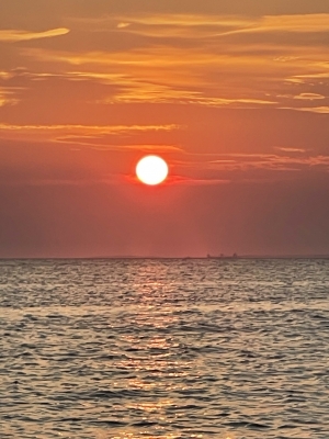 YOURA（ﾕｳﾗ） 出勤