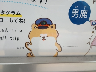 KOYOI(ｺﾖｲ) あきお
