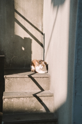 NEO(ﾈｵ) 感謝の気持ちは必ず伝える