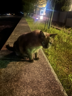 NAGI（ﾅｷﾞ） どっち派ですか？