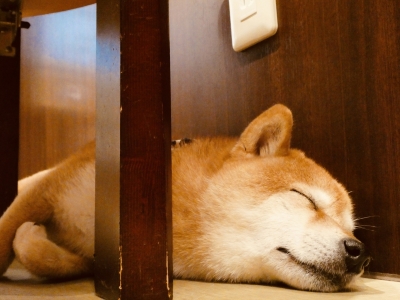 YUA(ﾕｱ) この人といる時の自分が好き