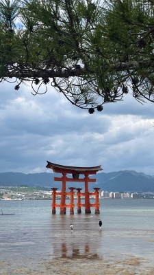 SAITO(ｻｲﾄ) 宮島(in広島)
