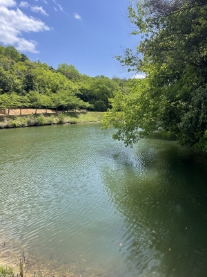 KAORU(カオル) 天気いいですね☀️
