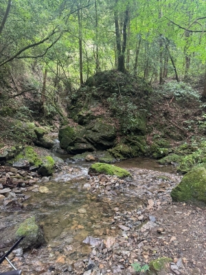 TAKETO(ﾀｹﾄ) 僕は非日常を作り出します。