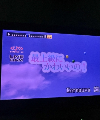 RINKO(ﾘﾝｺ) カラオケに行くと