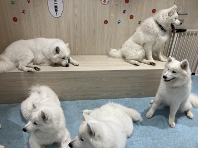 TOSHI(ﾄｳｼ) お礼🥺💕