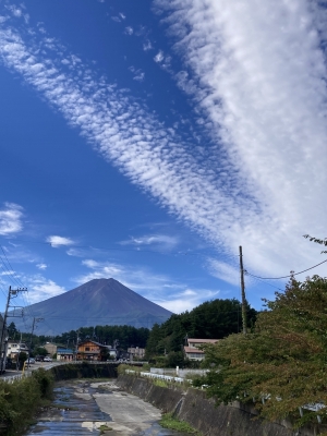 KYLE(カイル) 帰るよー!