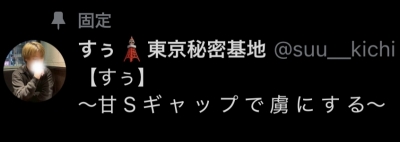 SUU(スゥ) NEW固定ポスト📮