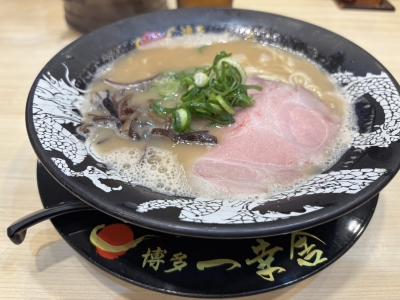 HIKARU(ﾋｶﾙ) より福岡に行きたくなった🌓