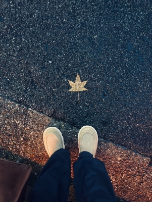 KONOSUKE(ｺｳﾉｽｹ) 🍁