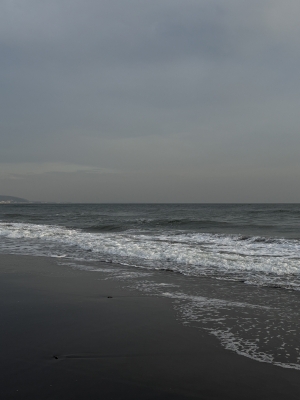 MASH(ﾏｯｼｭ) 海。