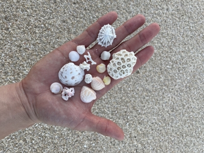 JOJO(ｼﾞｮｼﾞｮ) ありのまま