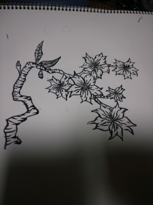 YAK(ﾔｸ) 桜