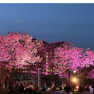 KOUKI(ｺｳｷ) 桜の季節ですね