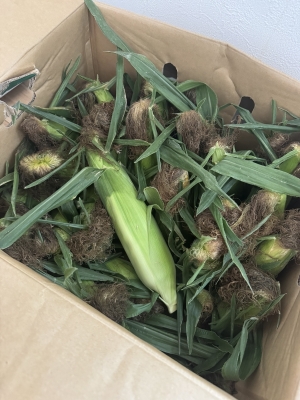 YUUSHI(ﾕｳｼ) 大量...🌽