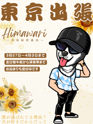 HIMAWARI(ﾋﾏﾜﾘ) 東京出張中です　新宿渋谷周辺で待機中