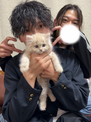 BOSS(ボス) (^ට ‧̫ ට^)੭