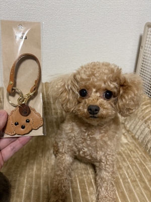 KUROHA（ｸﾛﾊ） クリスマス