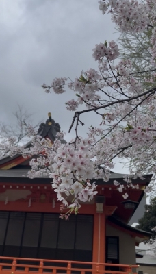 KONOSUKE(ｺｳﾉｽｹ) 時が経てばちゃんと、春も来る