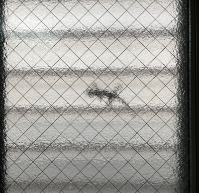 MIKITO(ﾐｷﾄ) お久しぶりです