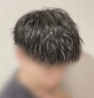 AO(ｱｵ) New Hair