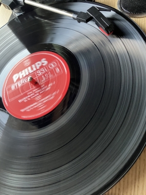 HARUTA(ﾊﾙﾀ) 音楽