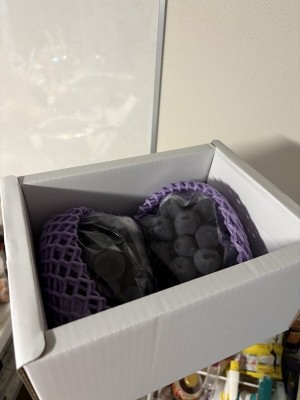 ITSUKI(ｲﾂｷ) 色んな生き方があるよね