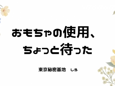 SHIRO(ｼﾛ) おもちゃの使用、ちょっと待った