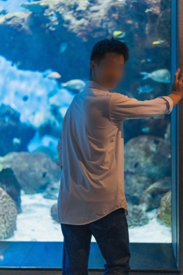 YOKKUN(ヨックン) 誘導