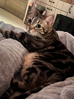 RYOTO(ﾘｮｳﾄ) 本日満了となりました🚗