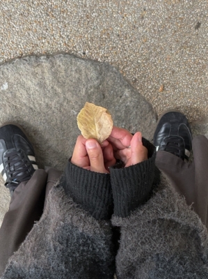 MASH(ﾏｯｼｭ) 落ち葉、かわいい