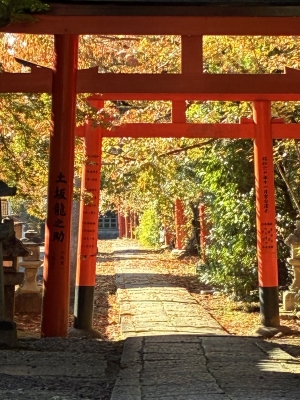 HANZO（ﾊﾝｿﾞｰ） 本日より！！