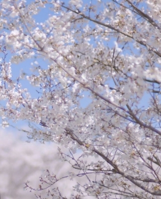 HIRO(ﾋﾛ) 今月も半額やります。