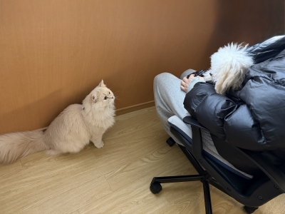 BOSS(ﾎﾞｽ) (^ට ‧̫ ට^)੭