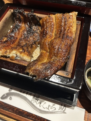 KONOSUKE(ｺｳﾉｽｹ) にょろすけこうのすけ