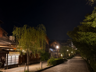 HINARI(ﾋﾅﾘ) Gion
