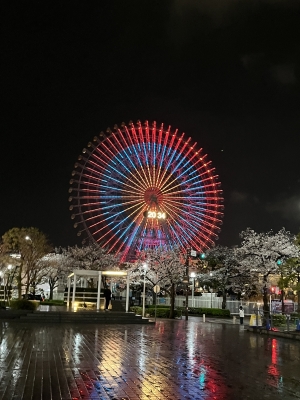 ITSUKI(ｲﾂｷ) 観覧車🎡