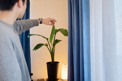 HARUKAWA(ハルカワ) オーガスタ