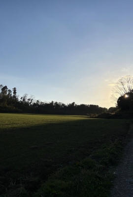 TOMOKI(ﾄﾓｷ) 今日の夕焼け