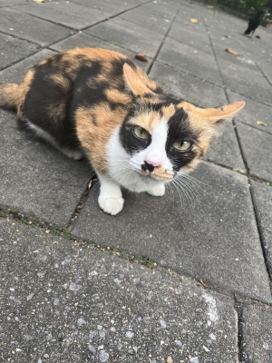 MOCHI（ﾓﾁ） 世界に一つだけ。