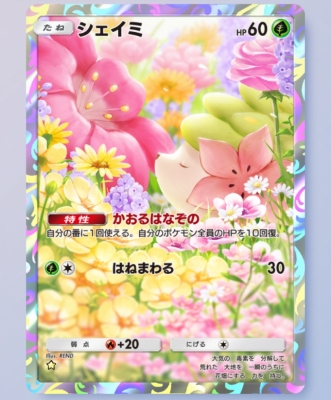 LEUN(ﾙｱﾝ) 写真と中身別物