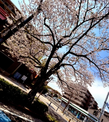 SUGURU(ｽｸﾞﾙ) ✨SUGUROOM✨