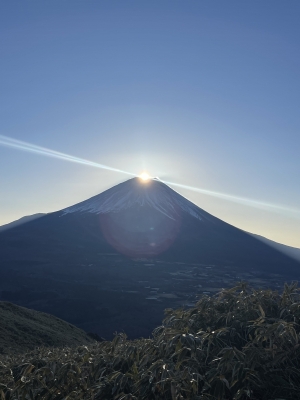 YOURA（ﾕｳﾗ） 今年はどうしよ