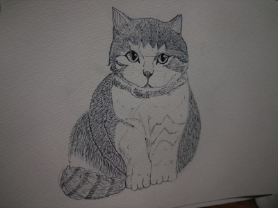 YAK(ﾔｸ) 猫
