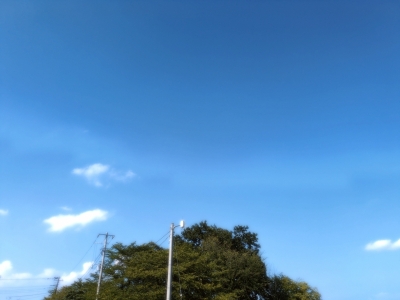 TOUYA(ﾄｳﾔ) こんにちは✨️