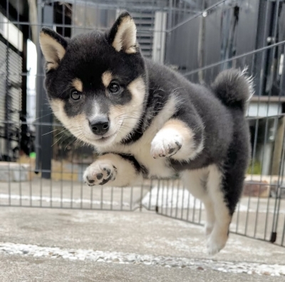 KENTO (ｹﾝﾄ) 今日は…