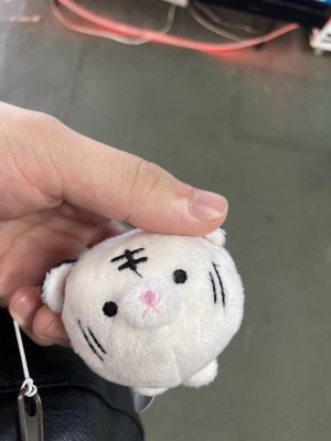 KYLE(カイル) なにかなー?