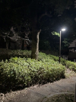 MIFUYU(ﾐﾌﾕ) お散歩