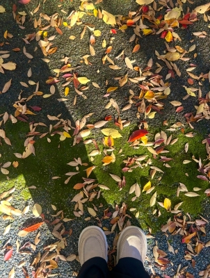 KONOSUKE(コウノスケ) この写真だけで秋ってわかるね