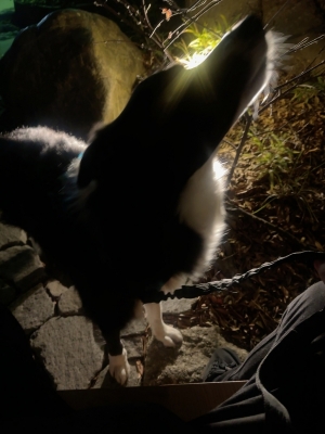 ATSUMU（ｱﾂﾑ） 熱